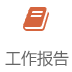工作报告