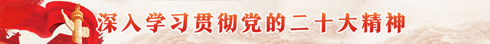 深入学习贯彻党的二十大精神